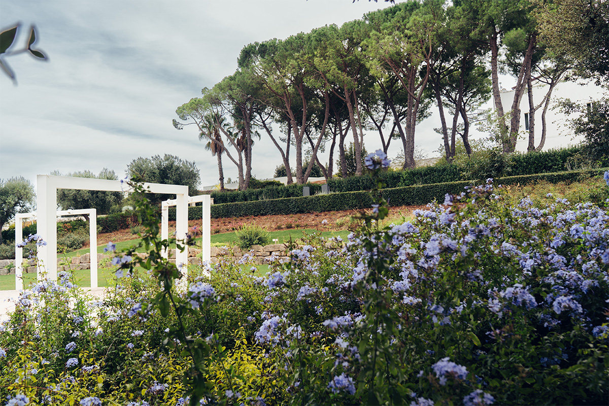 Giardino fiorito con aiuole viola, pergolati bianchi e pini mediterranei sullo sfondo.