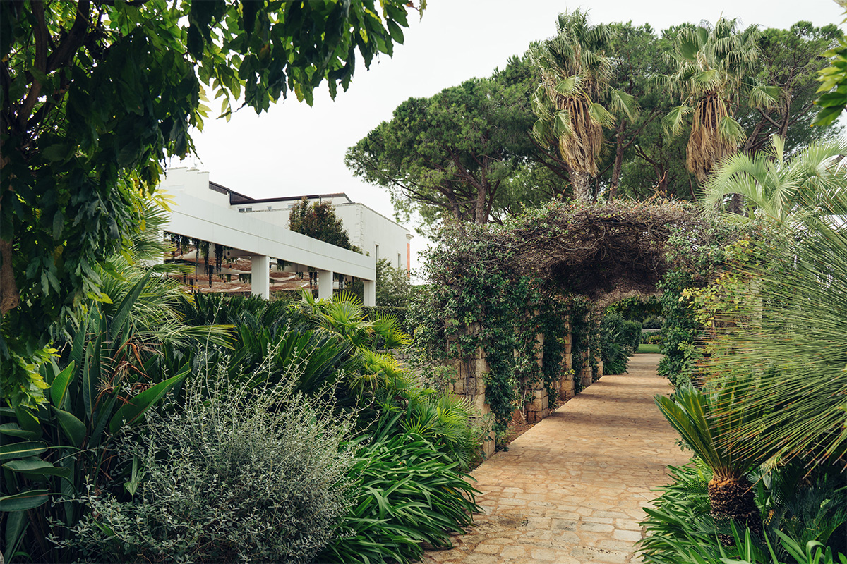 Vialetto in pietra nel giardino, tra piante mediterranee e pergolato verde.