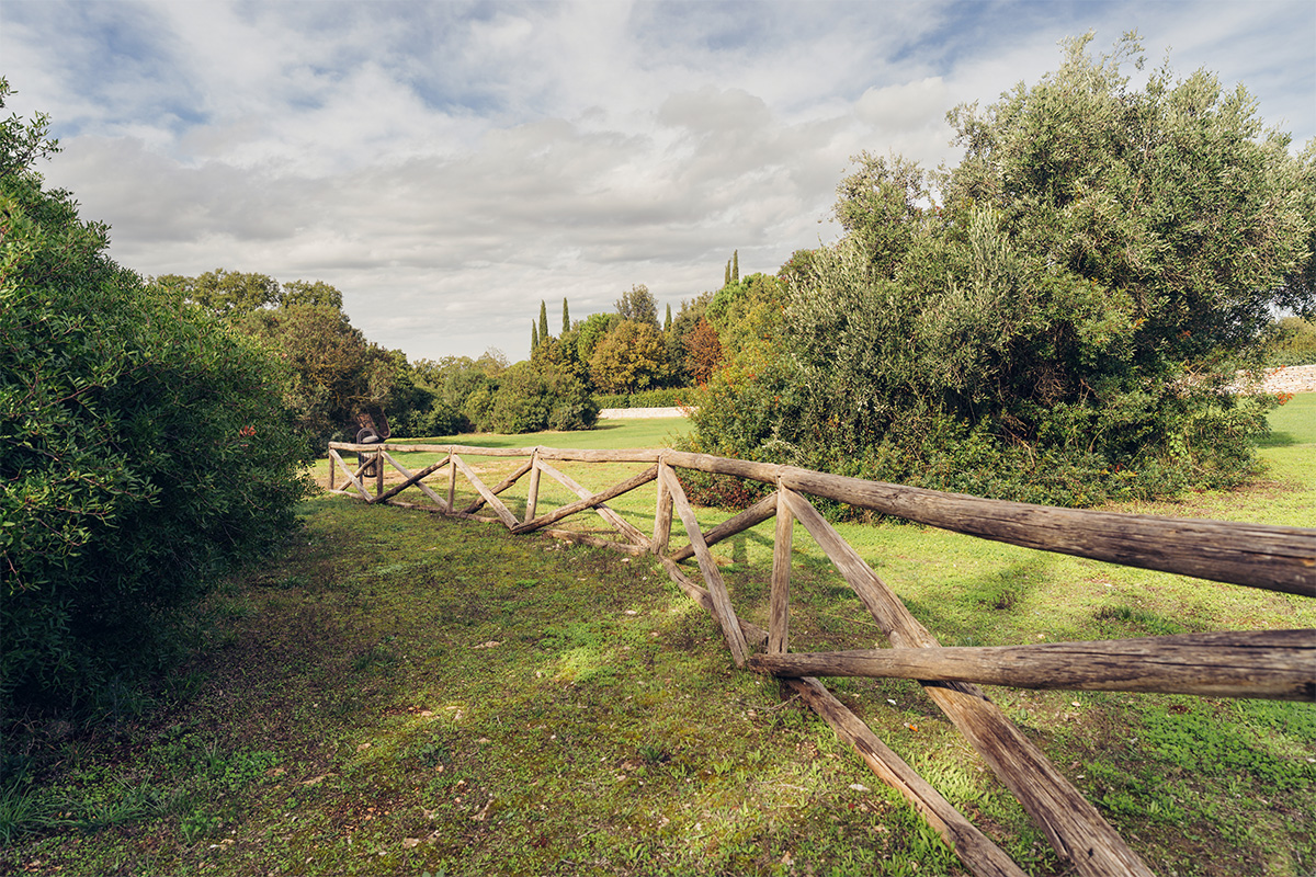 Percorso nel Bosco del Benessere, tra alberi e giardino.