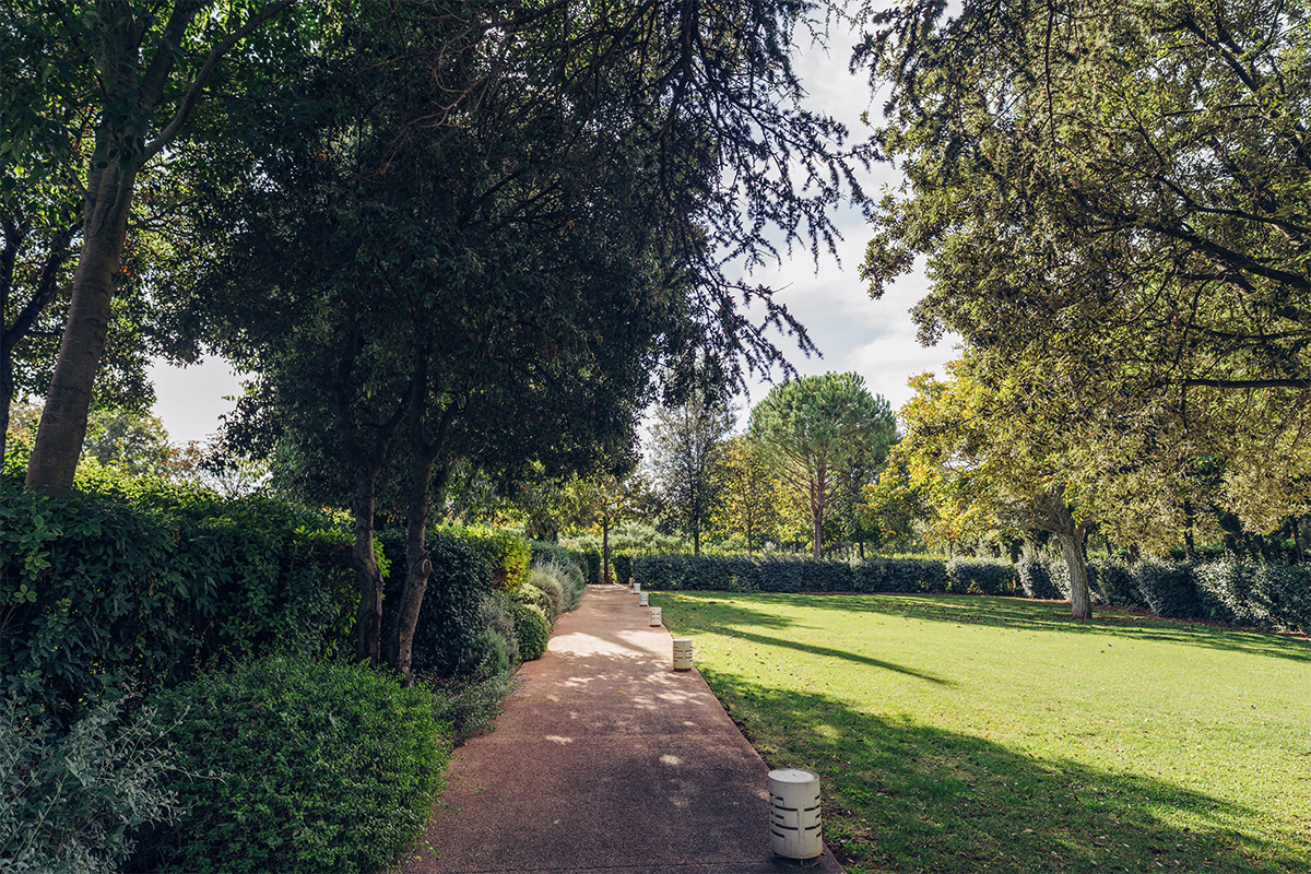 Viale curato nel Bosco del Benessere de Il Santissimo.