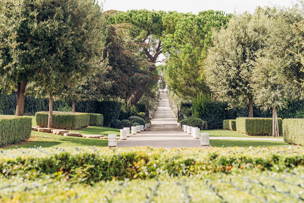 Lungo viale nel parco di Relais Il Santissimo, tra siepi curate, ulivi e prato.
