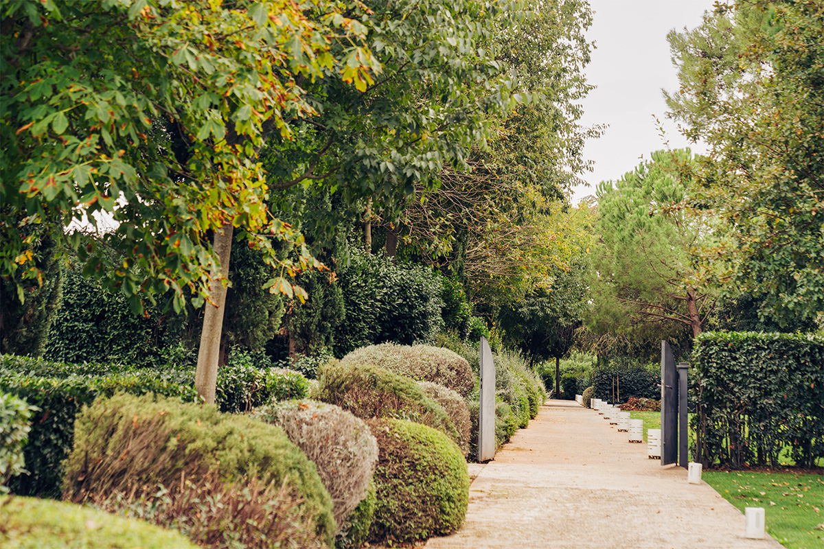 Sentiero nel parco tra siepi, alberi e piante ornamentali. 