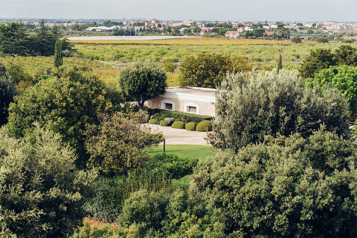 Vista dall’alto del parco con piccola casetta tra alberi e prati.