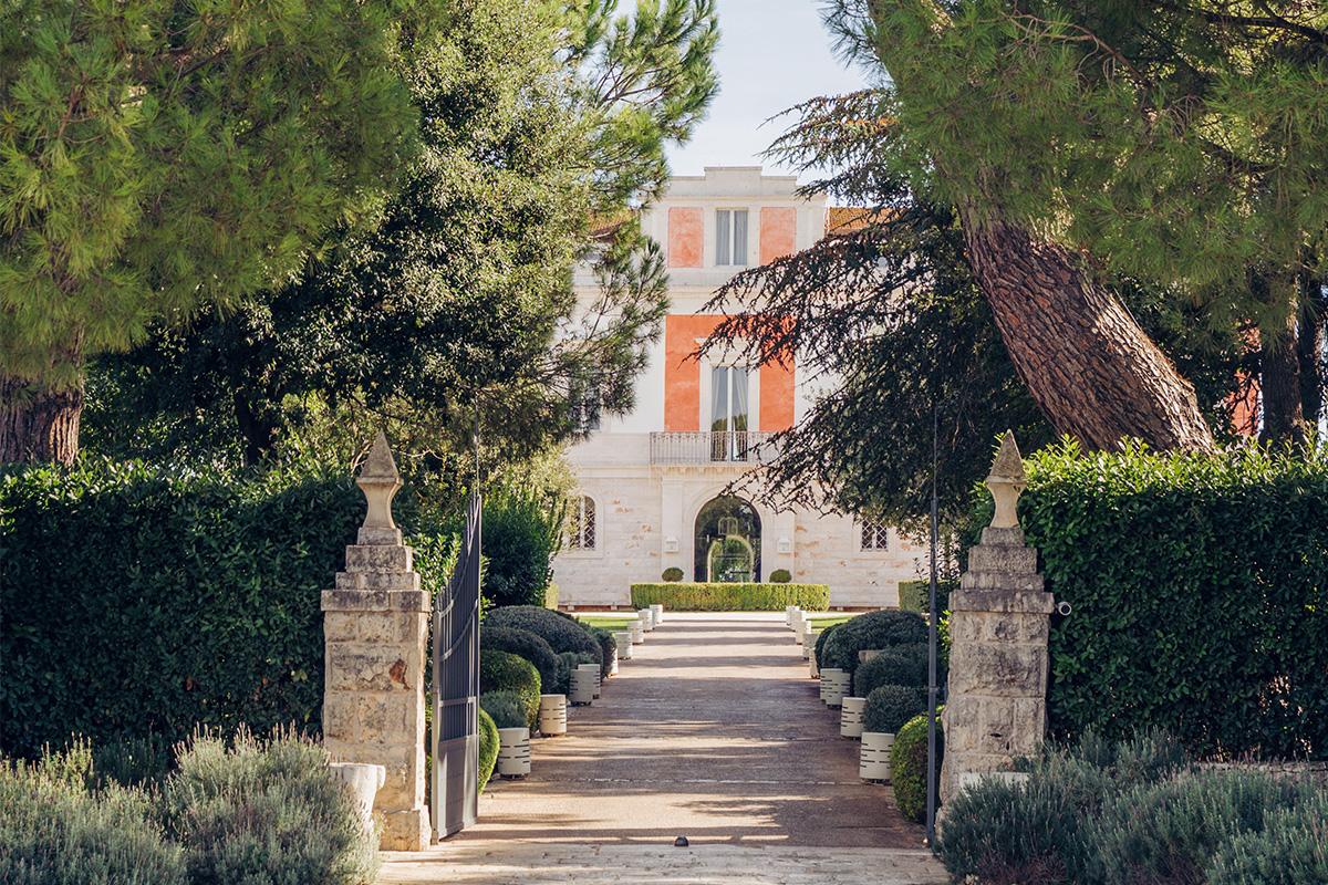 Viale alberato verso l’ingresso dell’hotel Il Santissimo tra siepi e ulivi.