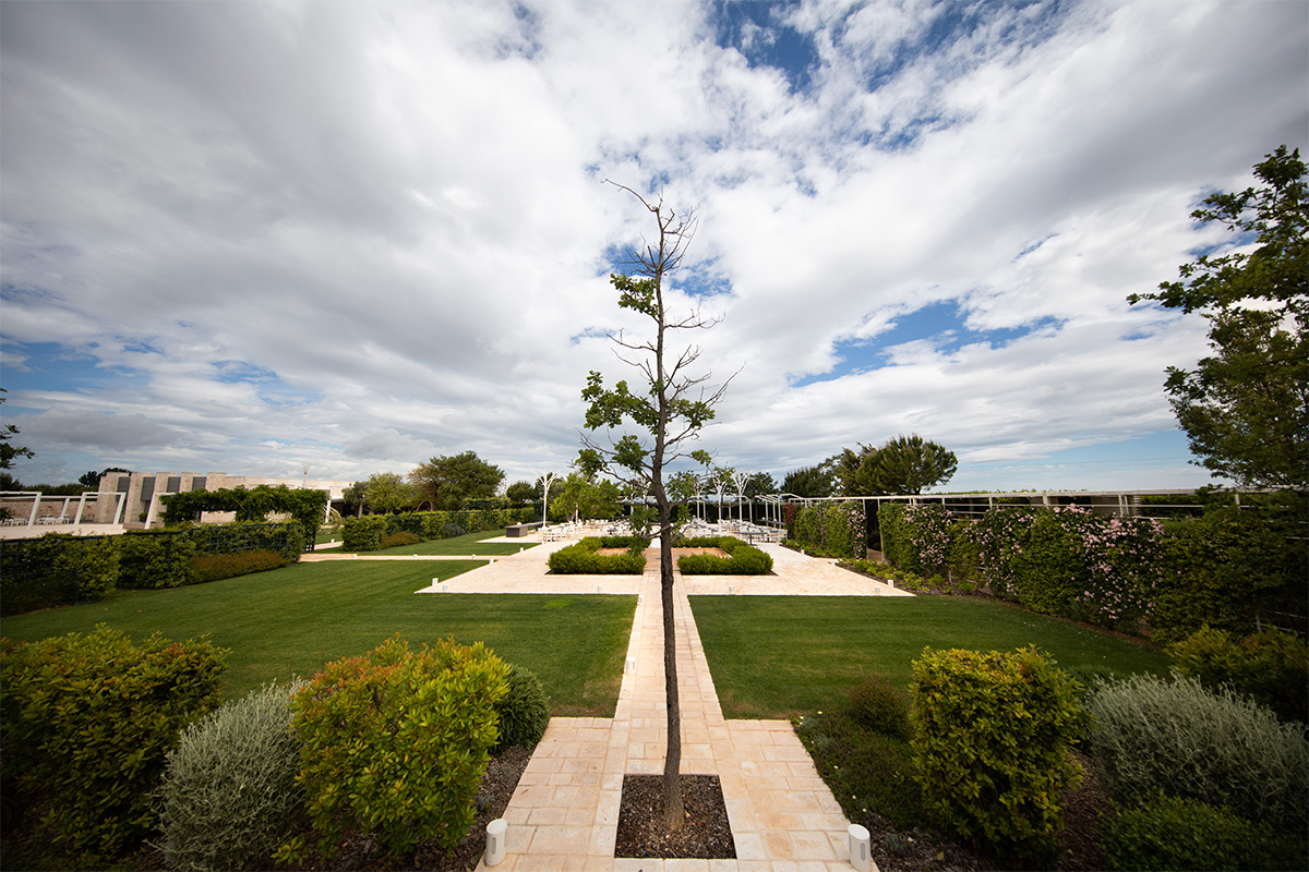 Geometric garden of Arena della Gioia with hedges and pathways.