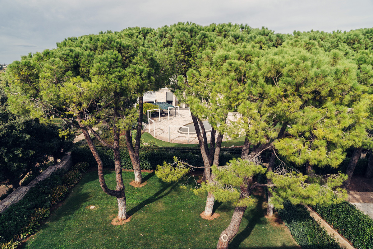 Aereal view of the garden for outdoor events among pine trees and lawns.