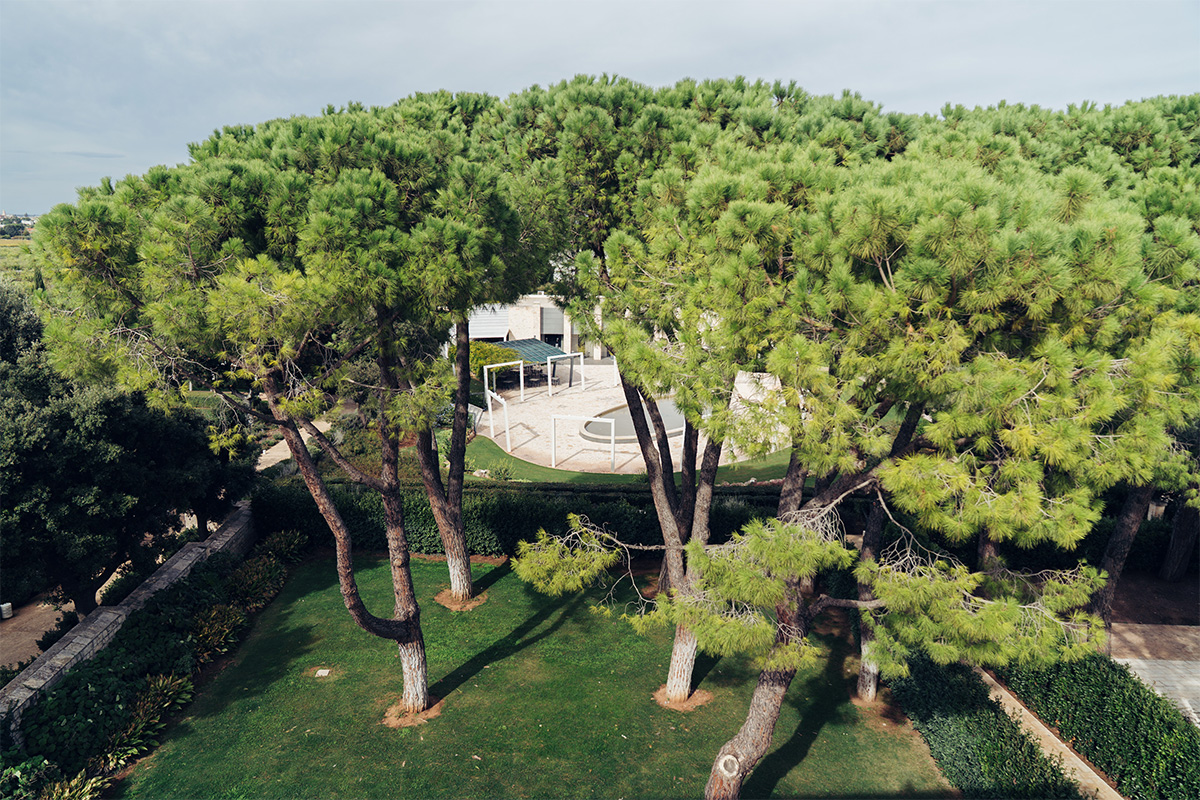 View from above of the garden with a manicured lawn for outdoor events.