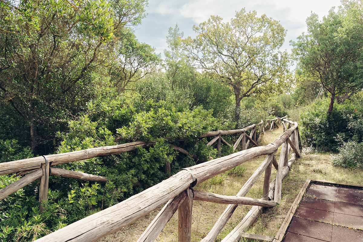 Path in the park, with wooden fence, Mediterranean vegetation and nature trail.