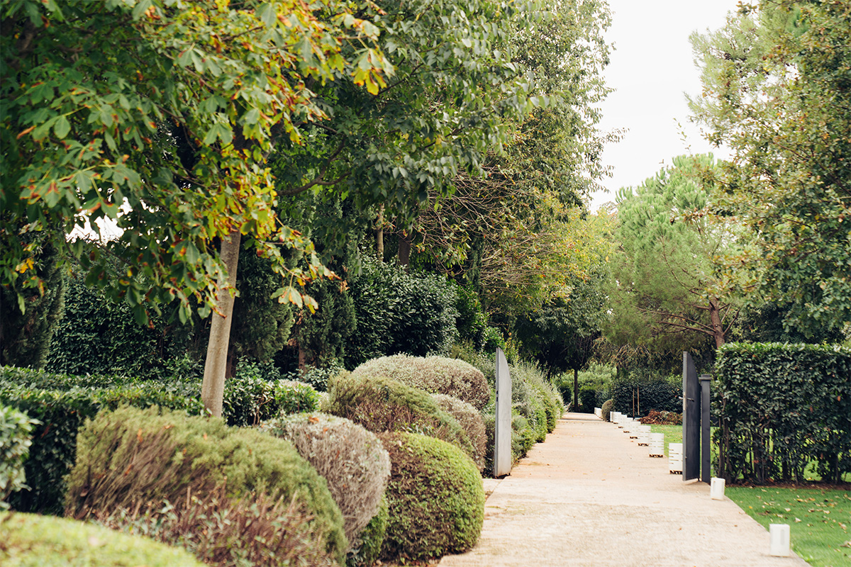 Park with Mediterranean trees and a clear path through the Apulian nature.