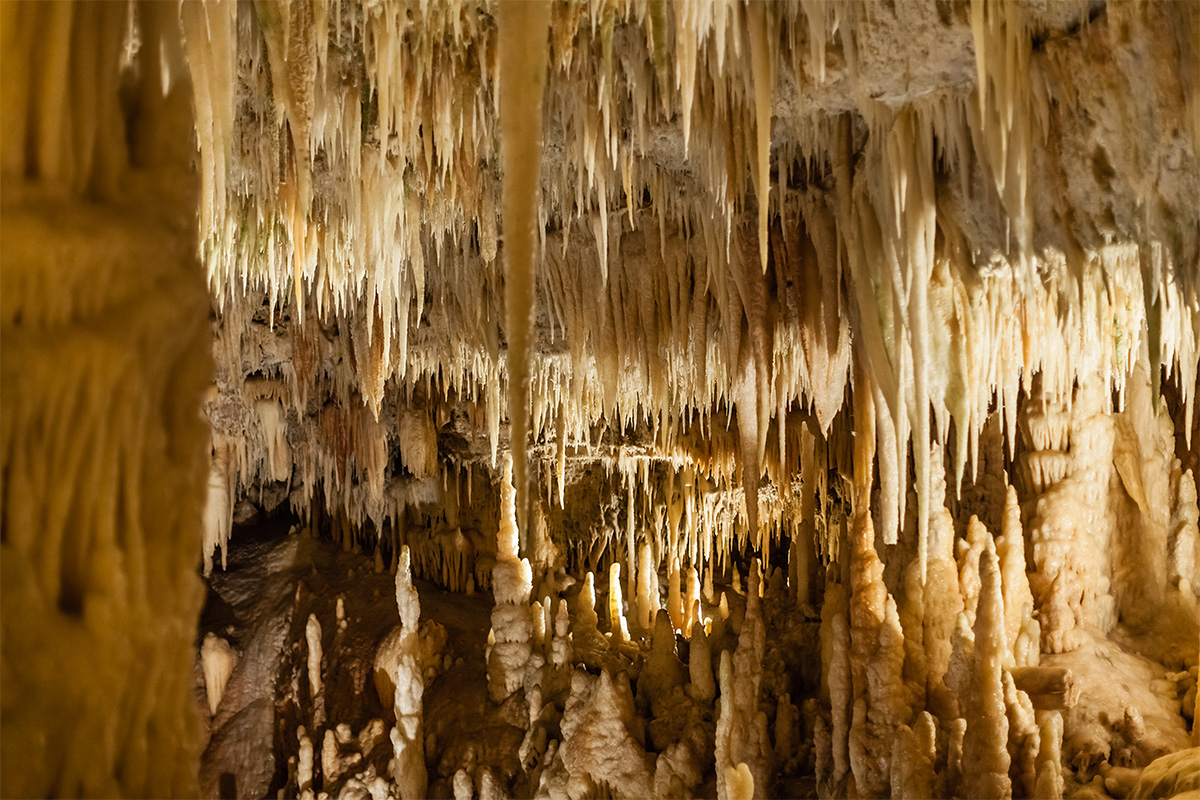 Interior of the Castellana Caves, with stalactites and illuminated limestone formations.