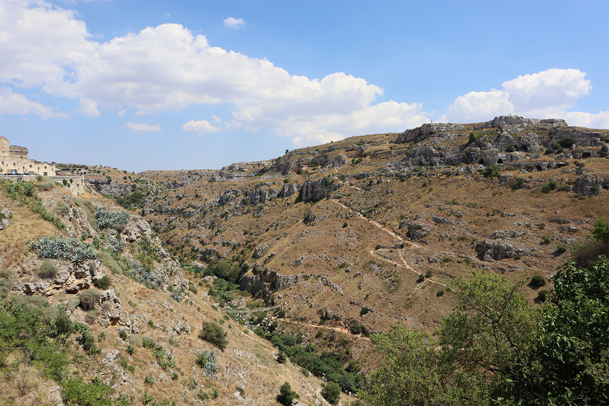 Rocky landscape of the Murgia with spontaneous vegetation.