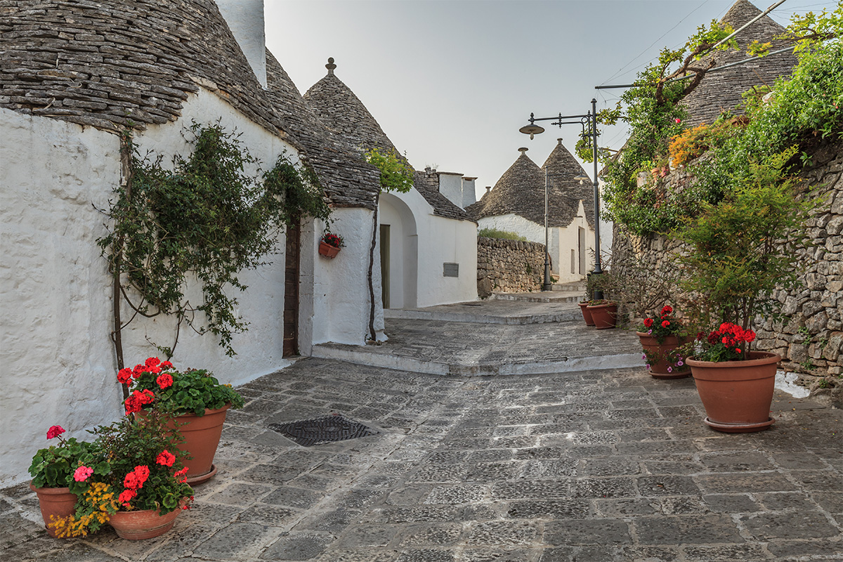 Alberobello alley with stone trulli, white walls, conical roofs and flowering plants.