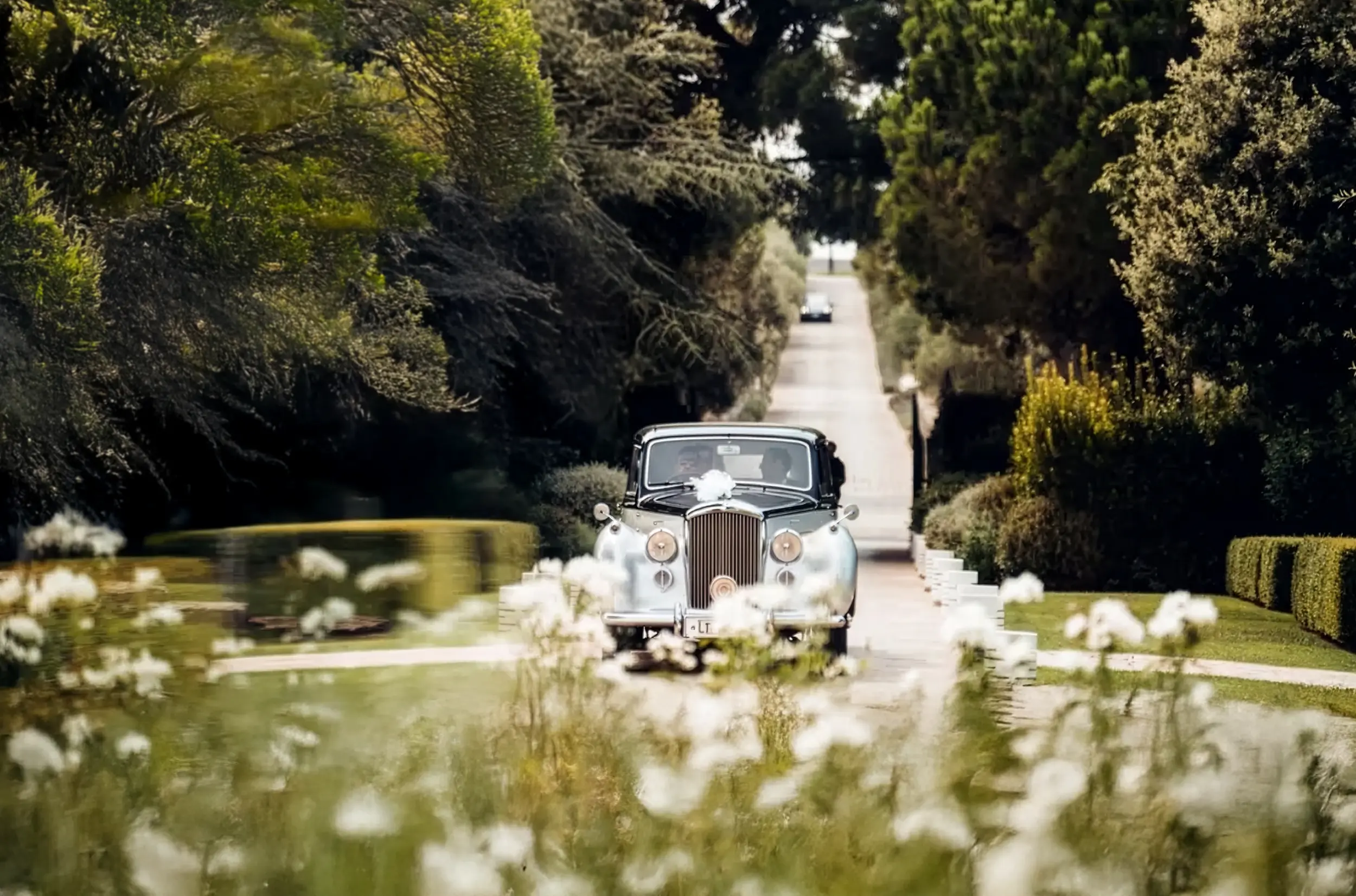 Auto degli sposi nel viale del Relais Il Santissimo per un matrimonio in Puglia.
