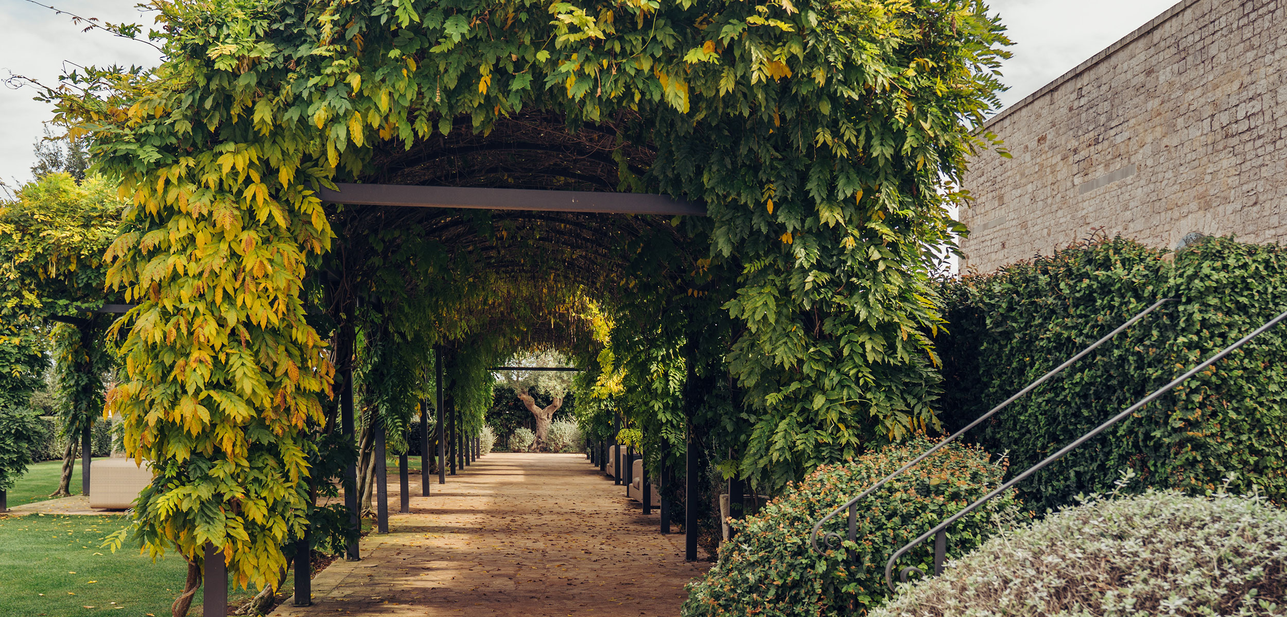 Pergolas with yellowed leaves for a wedding in autumn near Bari. 