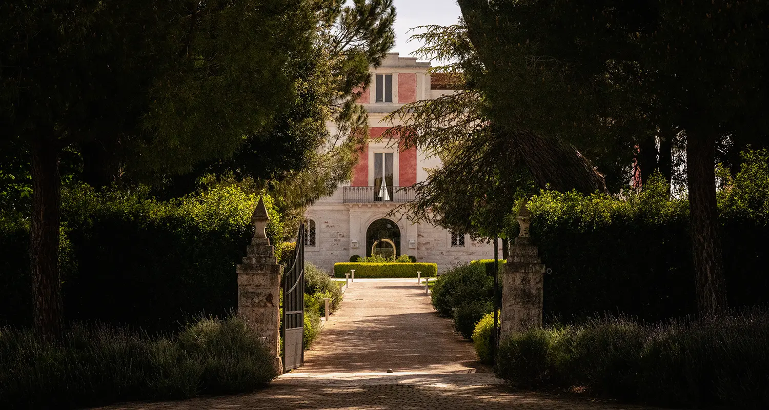 Viale alberato verso il palazzo de Il Santissimo tra giardini e siepi.